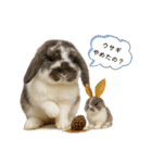 うさンプ:mochi（秋・ハロウィン）（個別スタンプ：13）