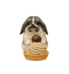 うさンプ:mochi（秋・ハロウィン）（個別スタンプ：16）