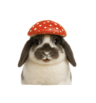 うさンプ:mochi（秋・ハロウィン）（個別スタンプ：17）