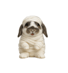 うさンプ:mochi（秋・ハロウィン）（個別スタンプ：19）