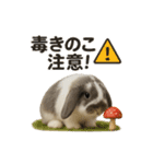 うさンプ:mochi（秋・ハロウィン）（個別スタンプ：22）