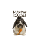 うさンプ:mochi（秋・ハロウィン）（個別スタンプ：26）