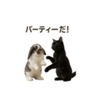 うさンプ:mochi（秋・ハロウィン）（個別スタンプ：31）