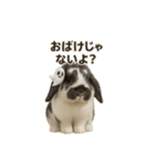 うさンプ:mochi（秋・ハロウィン）（個別スタンプ：32）