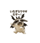 うさンプ:mochi（秋・ハロウィン）（個別スタンプ：34）