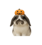 うさンプ:mochi（秋・ハロウィン）（個別スタンプ：35）