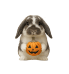 うさンプ:mochi（秋・ハロウィン）（個別スタンプ：36）