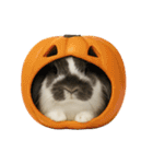 うさンプ:mochi（秋・ハロウィン）（個別スタンプ：37）