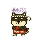 仲良し夫婦のムエタイ柴犬（個別スタンプ：1）