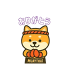 仲良し夫婦のムエタイ柴犬（個別スタンプ：4）