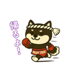 仲良し夫婦のムエタイ柴犬（個別スタンプ：5）