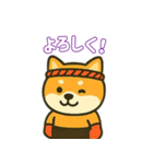 仲良し夫婦のムエタイ柴犬（個別スタンプ：8）