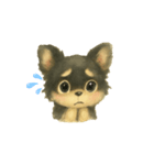 チワワのコテツさん(手書き風)（個別スタンプ：7）