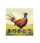 色彩鮮やかな鳥（個別スタンプ：18）