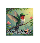 色彩鮮やかな鳥（個別スタンプ：39）