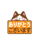 動く！ ハチワレさんの敬語でスタンプ（個別スタンプ：4）