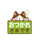 動く！ ハチワレさんの敬語でスタンプ（個別スタンプ：5）