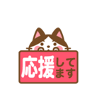 動く！ ハチワレさんの敬語でスタンプ（個別スタンプ：13）