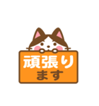動く！ ハチワレさんの敬語でスタンプ（個別スタンプ：14）