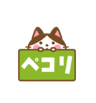 動く！ ハチワレさんの敬語でスタンプ（個別スタンプ：17）