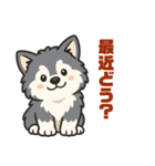 マラミュートの子犬といっしょ（個別スタンプ：12）