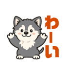 マラミュートの子犬といっしょ（個別スタンプ：19）