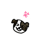 ボーダーコリー ハーフフェイス（個別スタンプ：8）