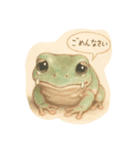 普段使いのカエルスタンプ（個別スタンプ：3）