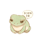 普段使いのカエルスタンプ（個別スタンプ：5）
