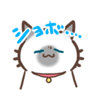 お元気ねこちゃん！（個別スタンプ：5）