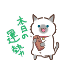 お元気ねこちゃん！（個別スタンプ：8）