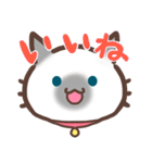 お元気ねこちゃん！（個別スタンプ：13）