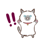 お元気ねこちゃん！（個別スタンプ：16）
