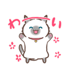 お元気ねこちゃん！（個別スタンプ：17）