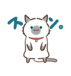 お元気ねこちゃん！（個別スタンプ：18）
