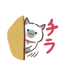 お元気ねこちゃん！（個別スタンプ：22）