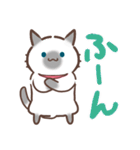お元気ねこちゃん！（個別スタンプ：24）