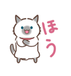 お元気ねこちゃん！（個別スタンプ：25）