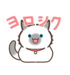 お元気ねこちゃん！（個別スタンプ：26）