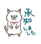 お元気ねこちゃん！（個別スタンプ：36）