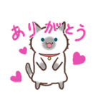 お元気ねこちゃん！（個別スタンプ：37）