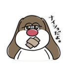 ぽっちゃりビーグル いぬくん2（個別スタンプ：21）