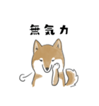 柴犬スタンプ 無気力（個別スタンプ：1）