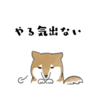 柴犬スタンプ 無気力（個別スタンプ：2）