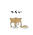 柴犬スタンプ 無気力（個別スタンプ：4）