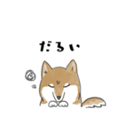 柴犬スタンプ 無気力（個別スタンプ：5）
