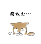 柴犬スタンプ 無気力（個別スタンプ：6）