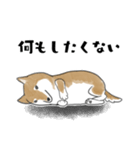 柴犬スタンプ 無気力（個別スタンプ：9）