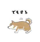 柴犬スタンプ 無気力（個別スタンプ：10）