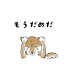 柴犬スタンプ 無気力（個別スタンプ：13）